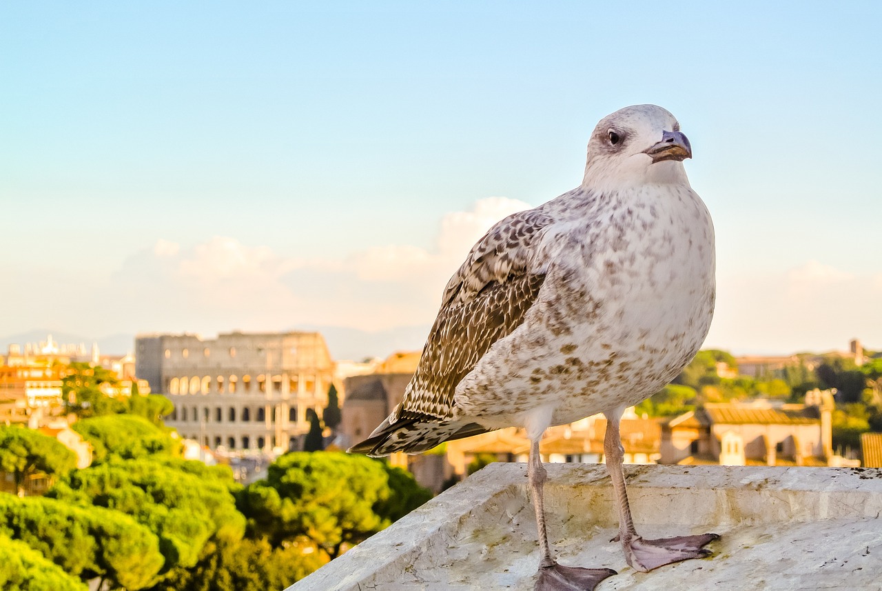 The Fall of the Western Roman Empire - Key Factors